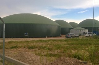 1200 kW Biogas D